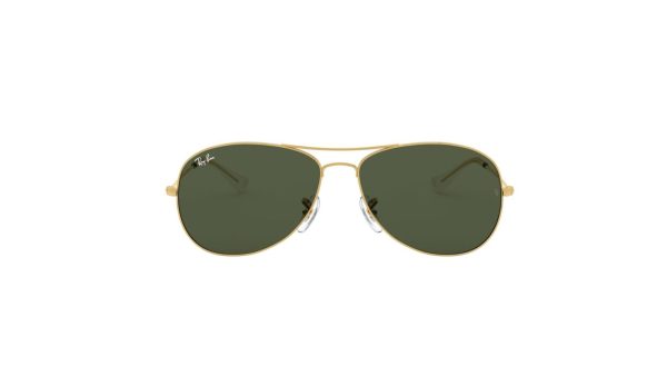 Ray-Ban Cockpit RB3362
