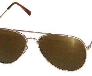 HIP Classic pilotenbril goudkleurig / bruin